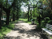 UTW Kutno IMG_3294.JPG